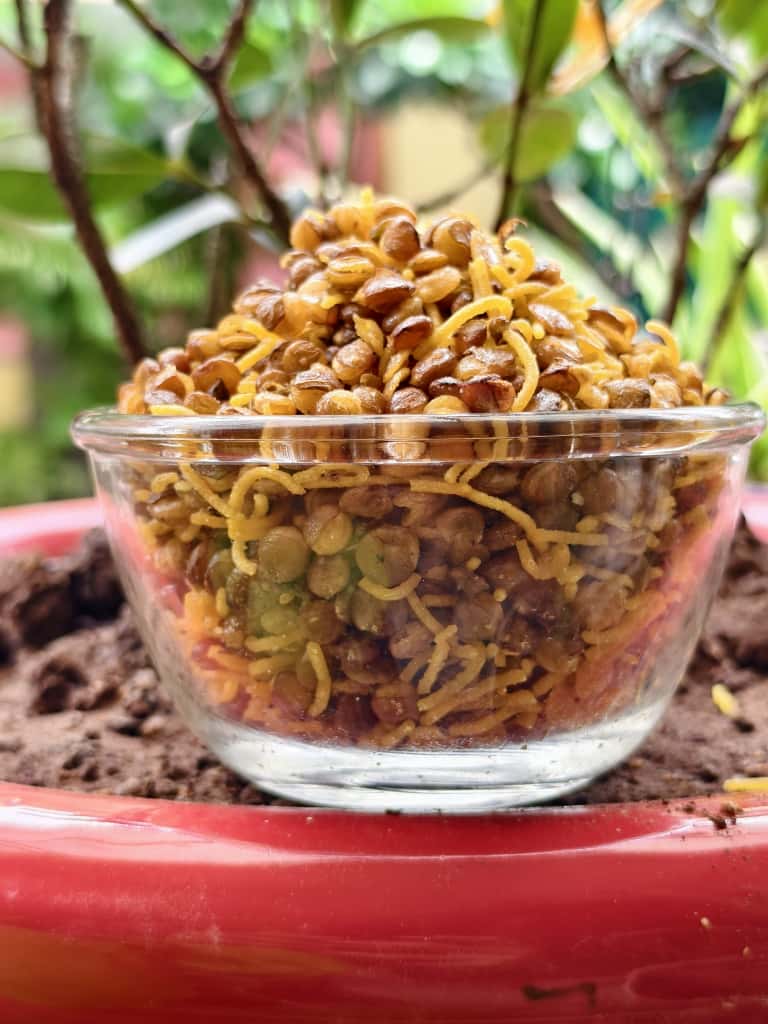 Dal Moth - Crispy, Crunchy and Sweet !